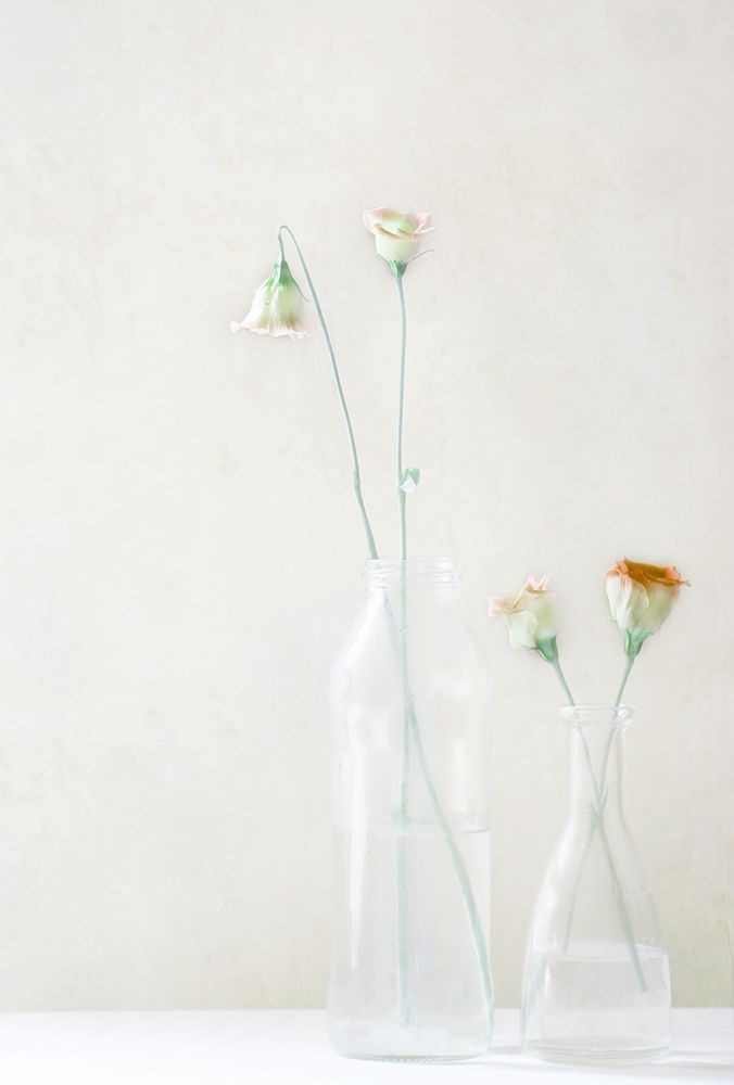Simplicity And Elegance art print by Delphine Devos for $57.95 CAD
