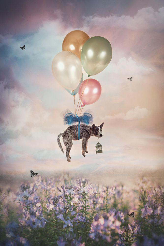 Untitled art print by Carola Kayen-Mouthaan for $57.95 CAD
