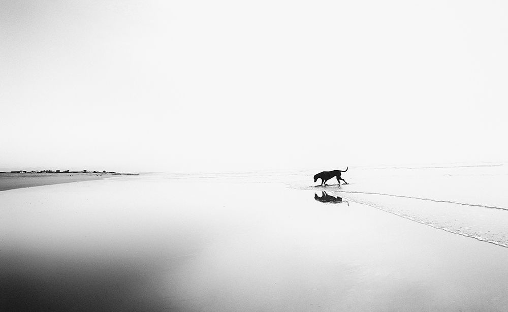 Lifes a beach art print by Karen Van Eyken for $57.95 CAD