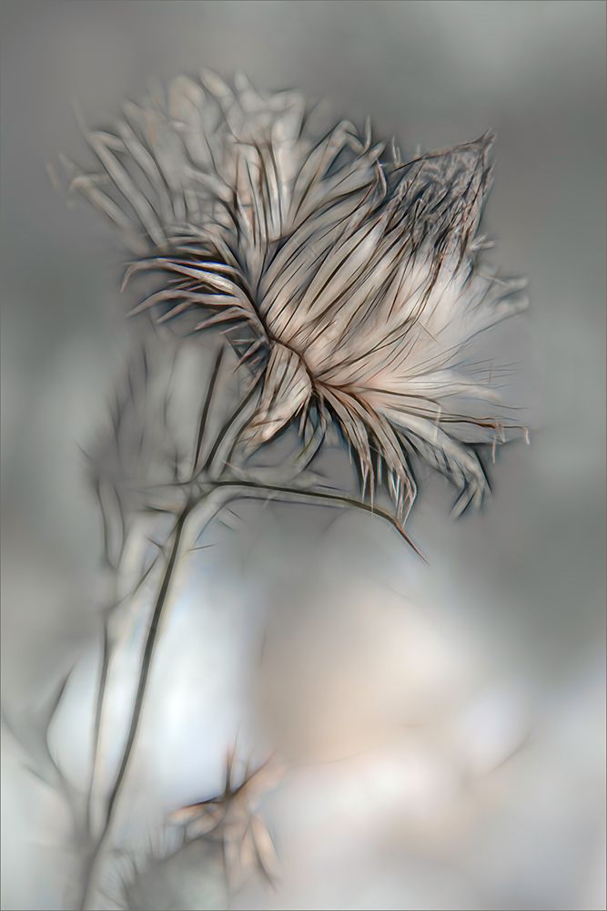 Source Of Life art print by Gilbert Claes for $57.95 CAD