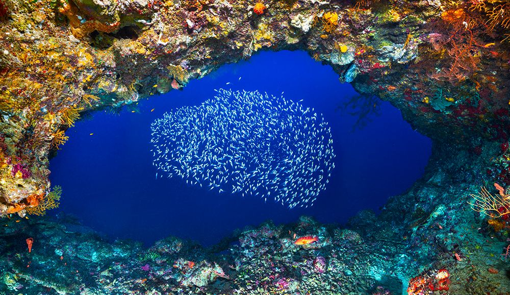 Underwater Cave art print by Barathieu Gabriel for $57.95 CAD