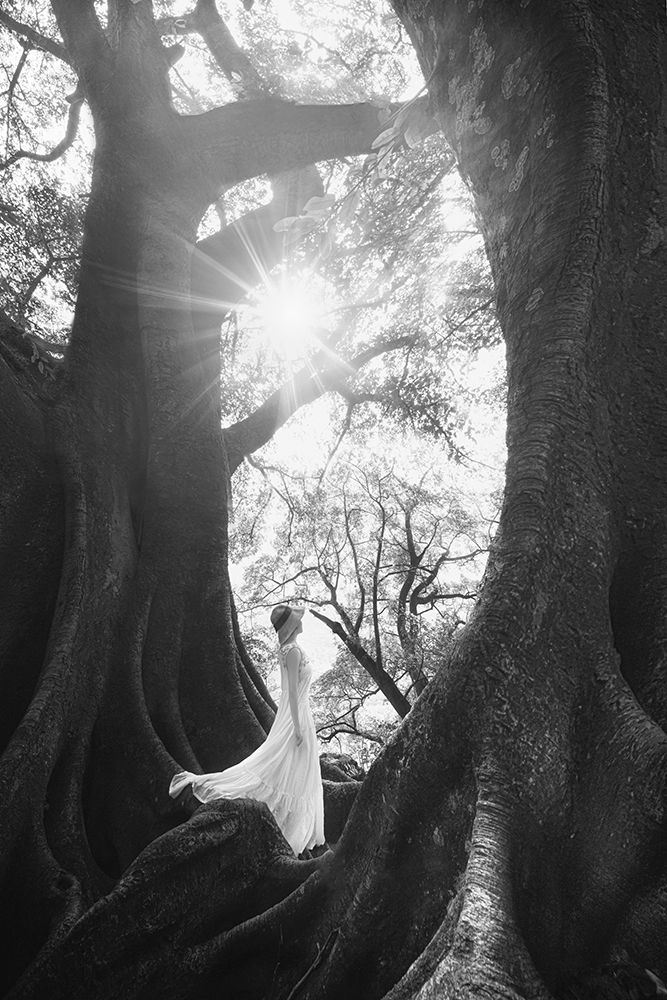 The Daughter Of Trees art print by TIANQI for $57.95 CAD