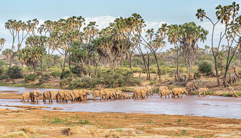 Why go to East Africa? art print by Jeffrey C. Sink for $57.95 CAD