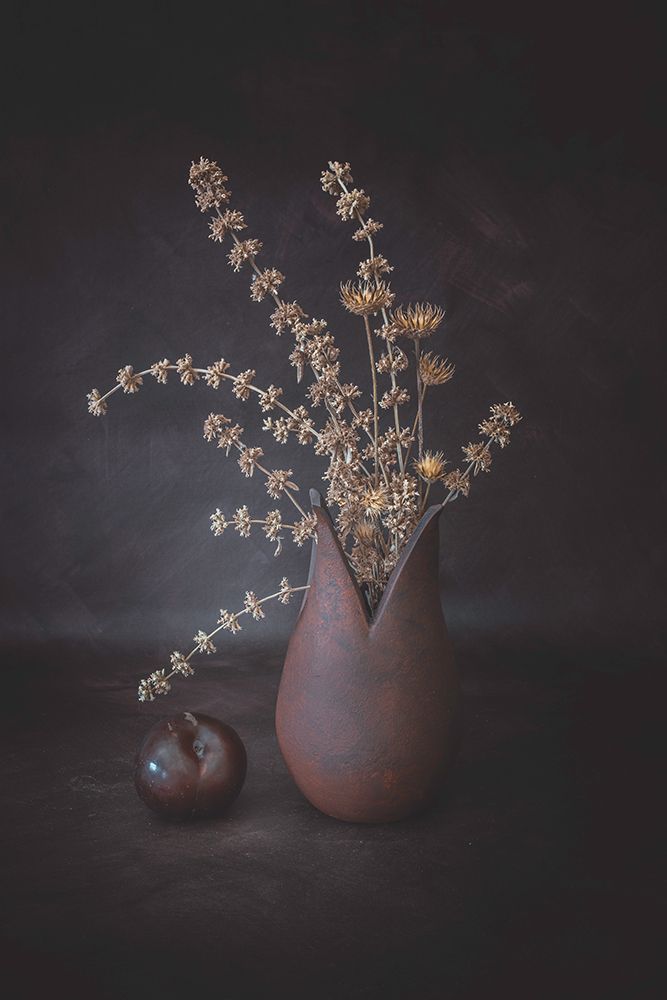 The Plum art print by Cicek Kiral for $57.95 CAD