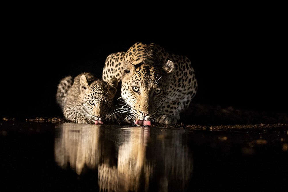 Untitled art print by Amnon Eichelberg for $57.95 CAD