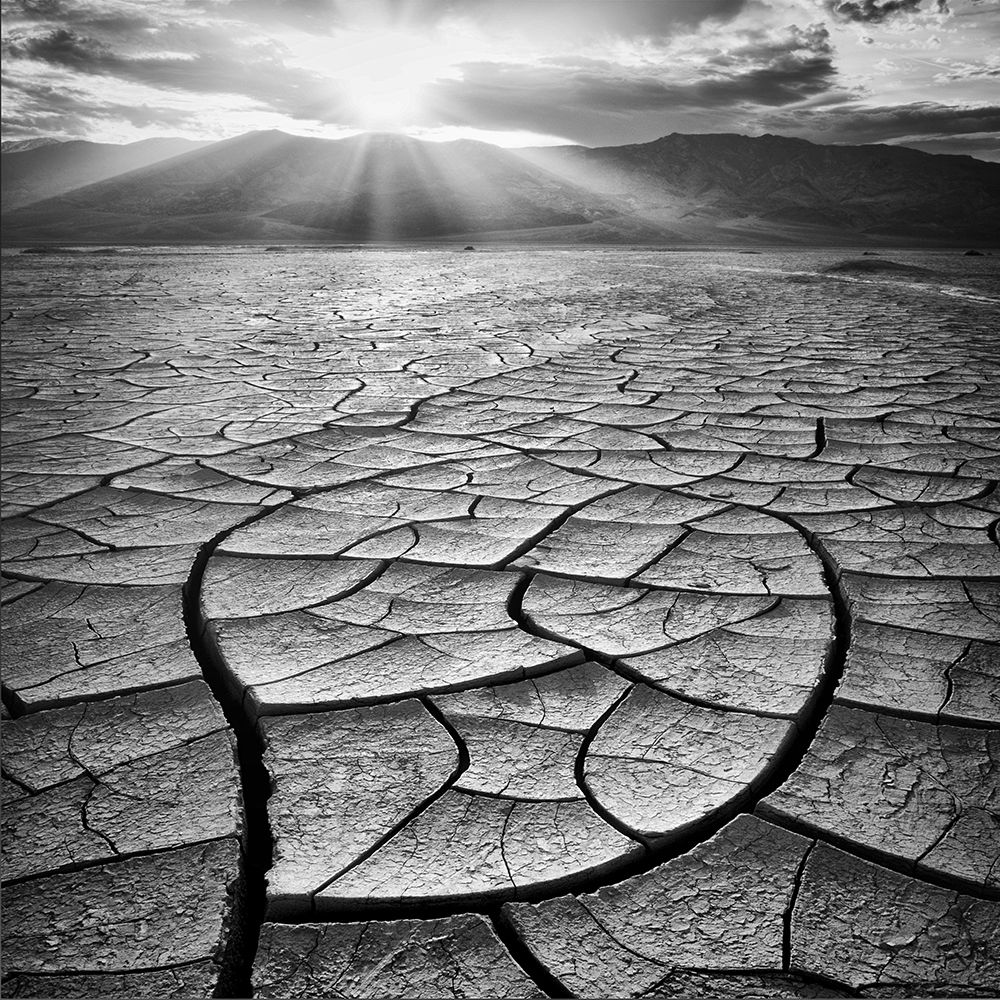 Arid art print by Yi Fan for $57.95 CAD