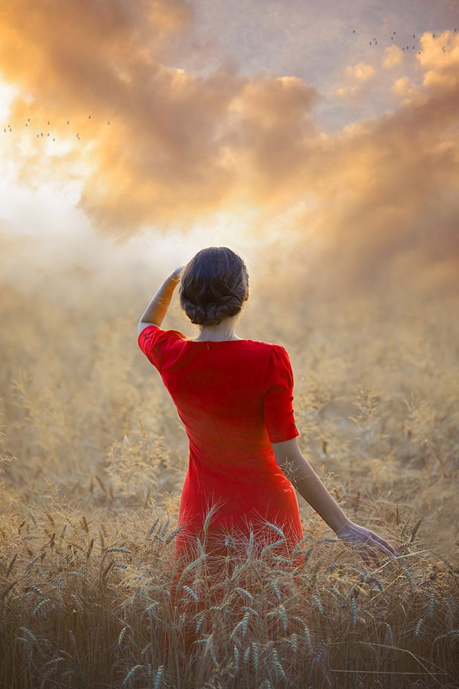 Another Day Coming art print by Ildiko Neer for $57.95 CAD