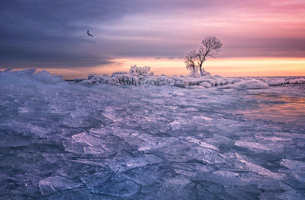 Winter Wonderland art print by Larry Deng for $57.95 CAD