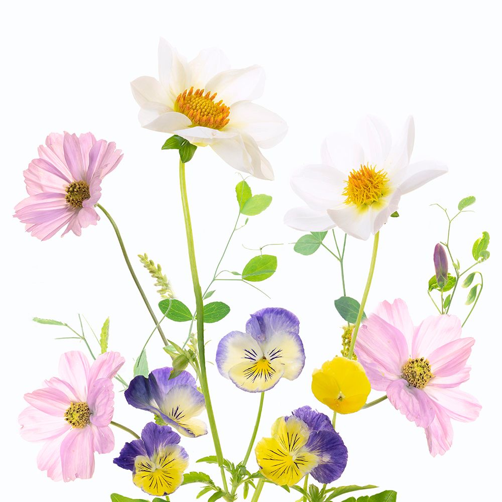 Late Summer art print by Sharon Williams for $57.95 CAD