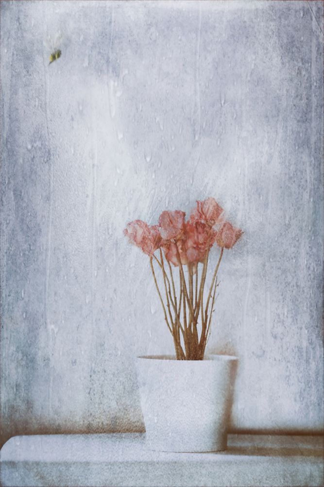 When Summers Gone... art print by Delphine Devos for $57.95 CAD