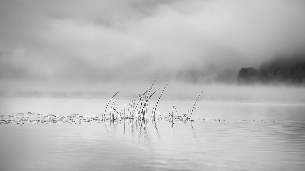 The fog lightens art print by Benny Pettersson for $57.95 CAD