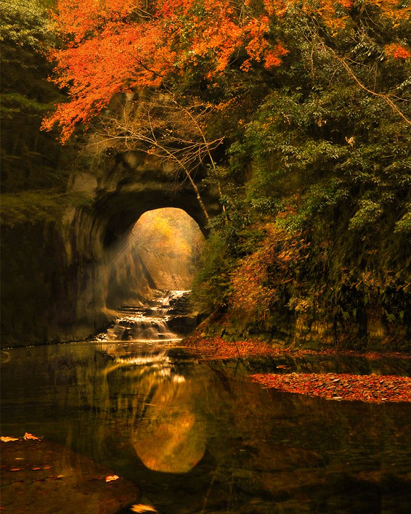 The entrance to another world art print by Makiko Samejima for $57.95 CAD