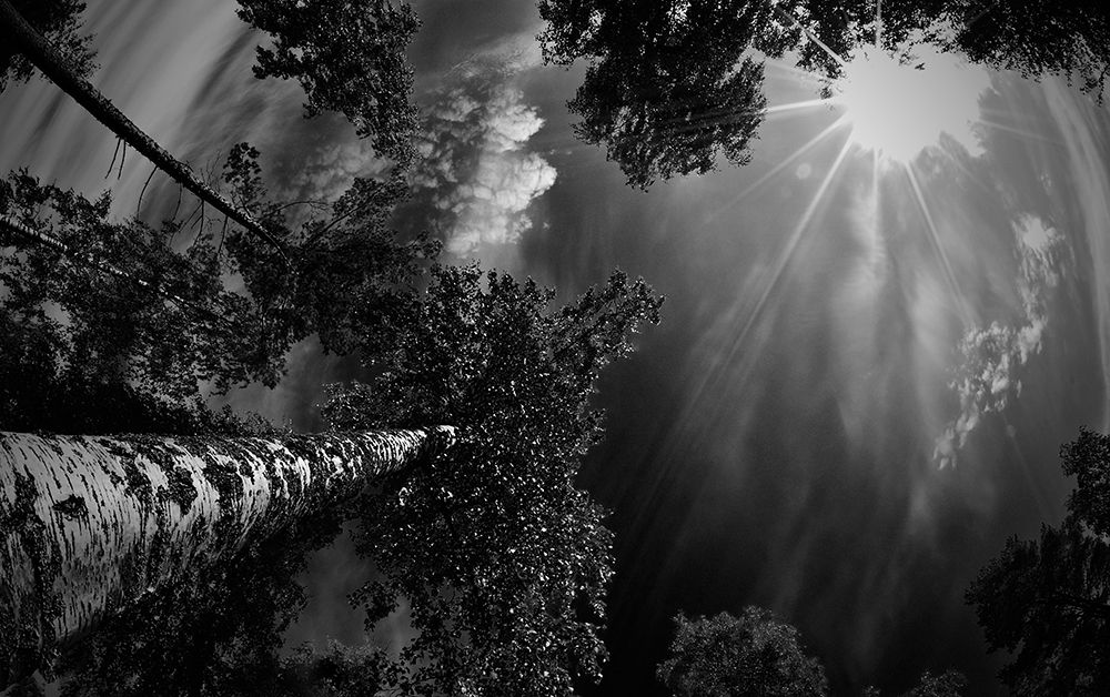 Dreaming Before The Thunder art print by Mikael Jigmo for $57.95 CAD