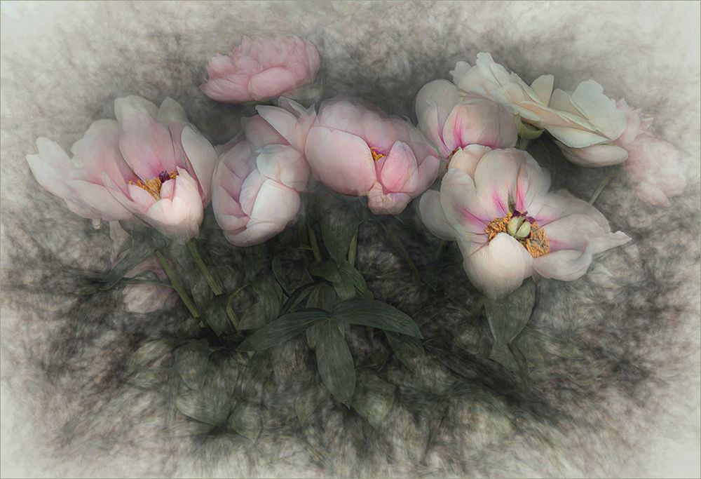 charm of nature art print by Gilbert Claes for $57.95 CAD