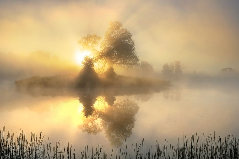Light art print by Keller for $57.95 CAD