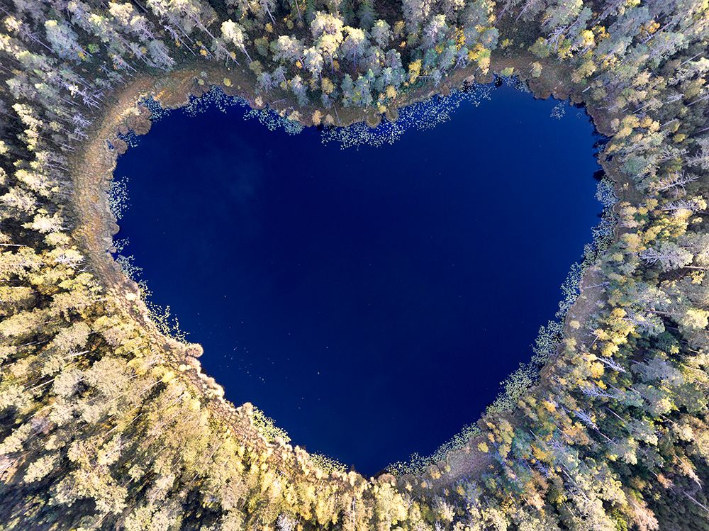 All You Need Is Love art print by Christian Lindsten for $57.95 CAD