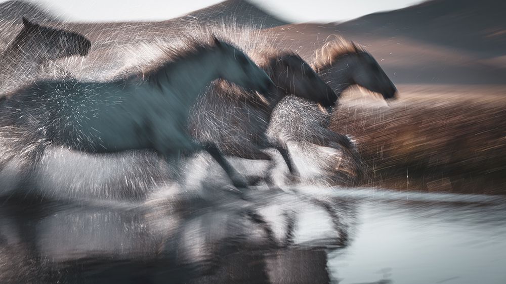 Splashing art print by Bingo Z for $57.95 CAD
