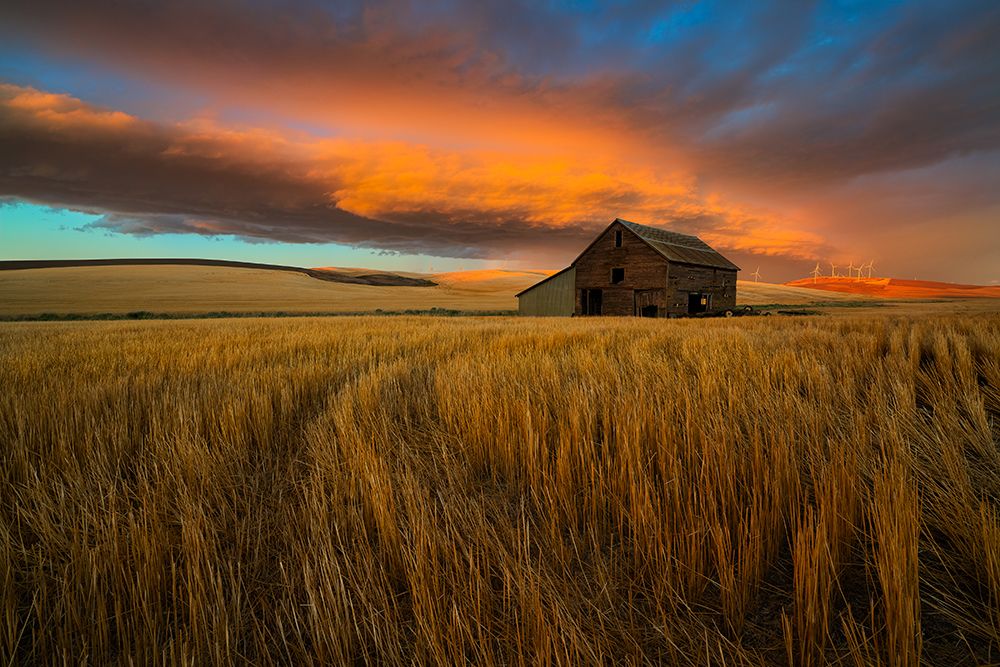 Storm Over Palouse art print by John Fan for $57.95 CAD