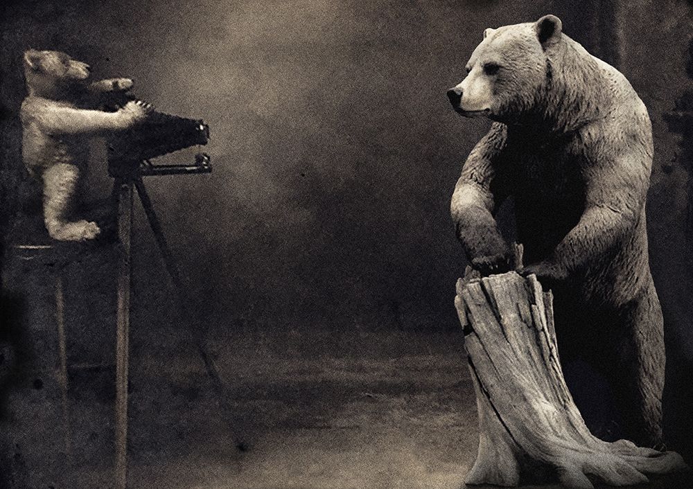 Hold That art print by Jeffrey Hummel for $57.95 CAD