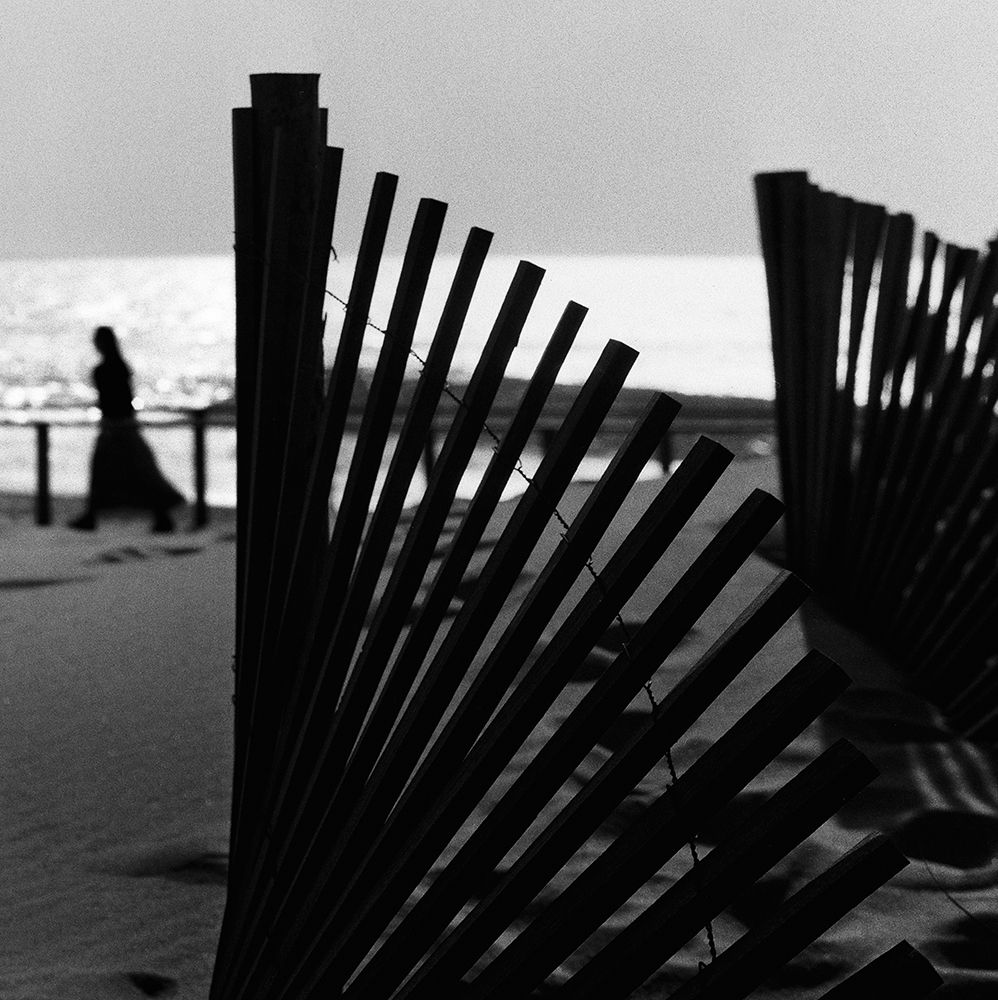 Waterways art print by Paulo Abrantes for $57.95 CAD