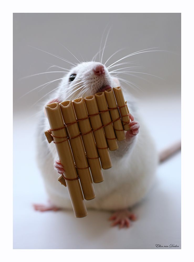The panflute. art print by Ellen van Deelen for $57.95 CAD