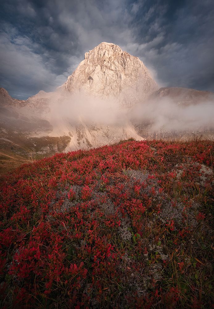 Autumn In The Mountains art print by Ales Krivec for $57.95 CAD