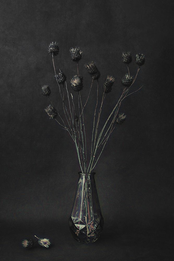 Dark art print by Cicek Kiral for $57.95 CAD