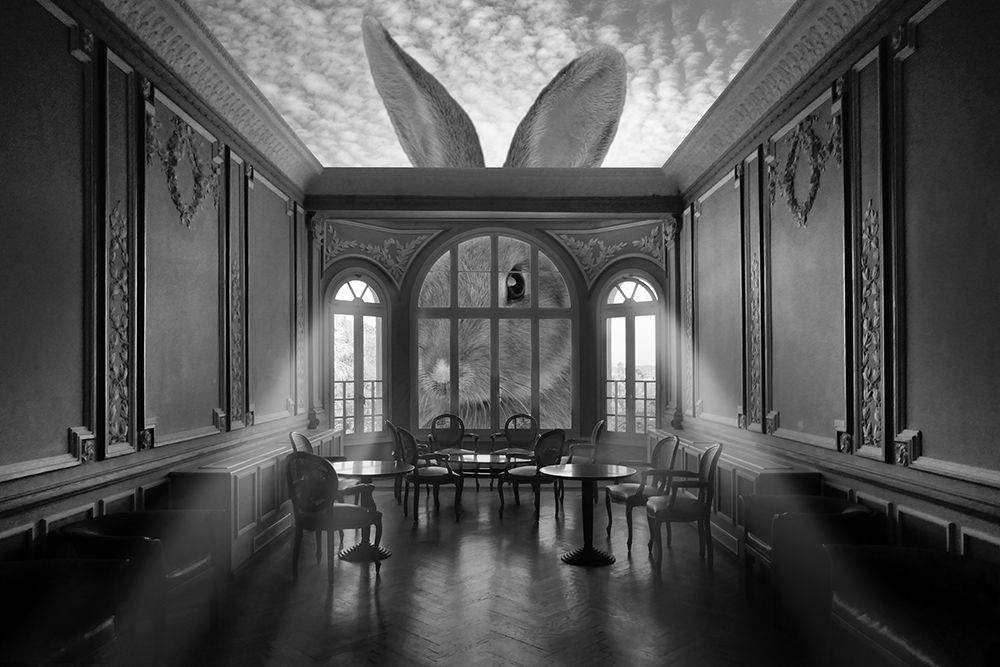 In A Rabbits World art print by Christian Marcel for $57.95 CAD