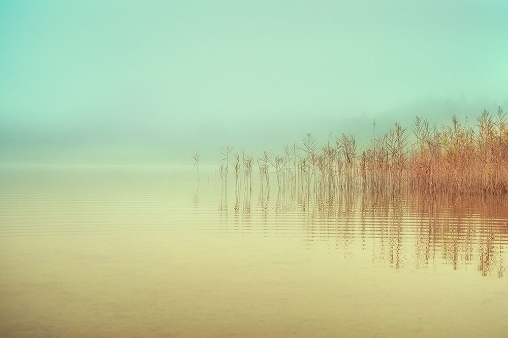 Just a peaceful moment art print by Ulrike Eisenmann for $57.95 CAD