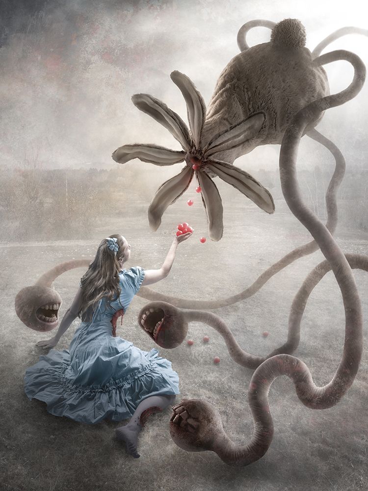 Wonderland art print by Christophe Kiciak for $57.95 CAD