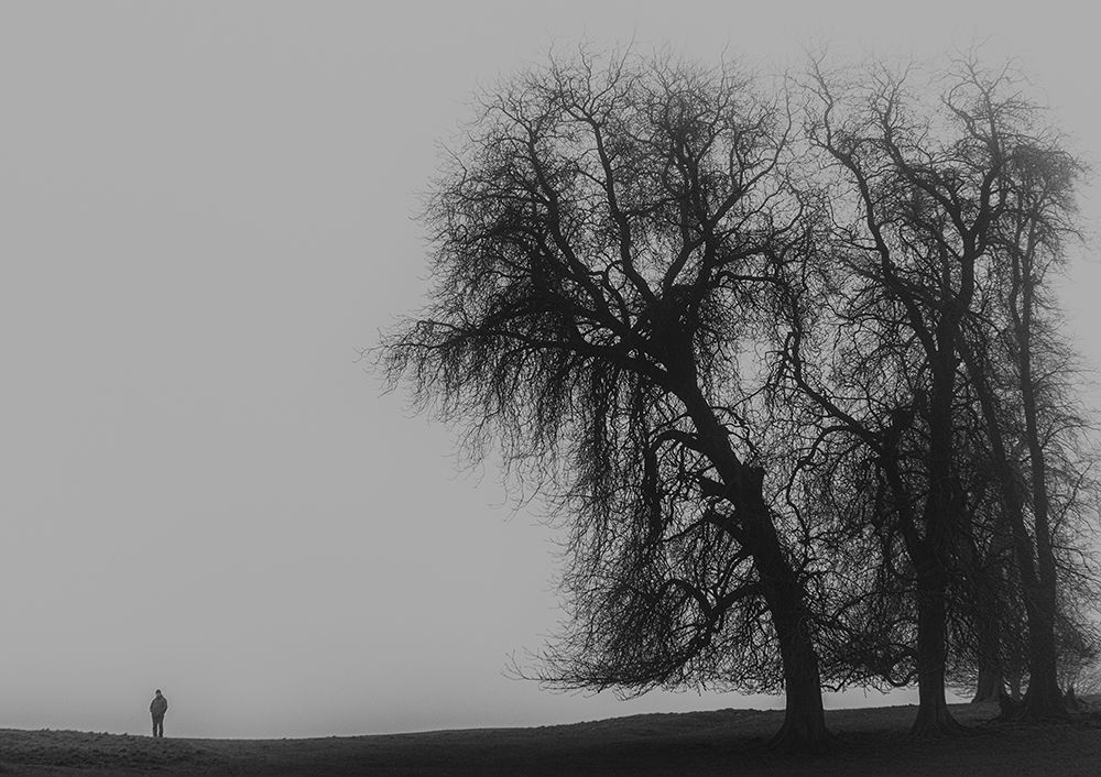 A Monster Calls art print by Bego Amare for $57.95 CAD