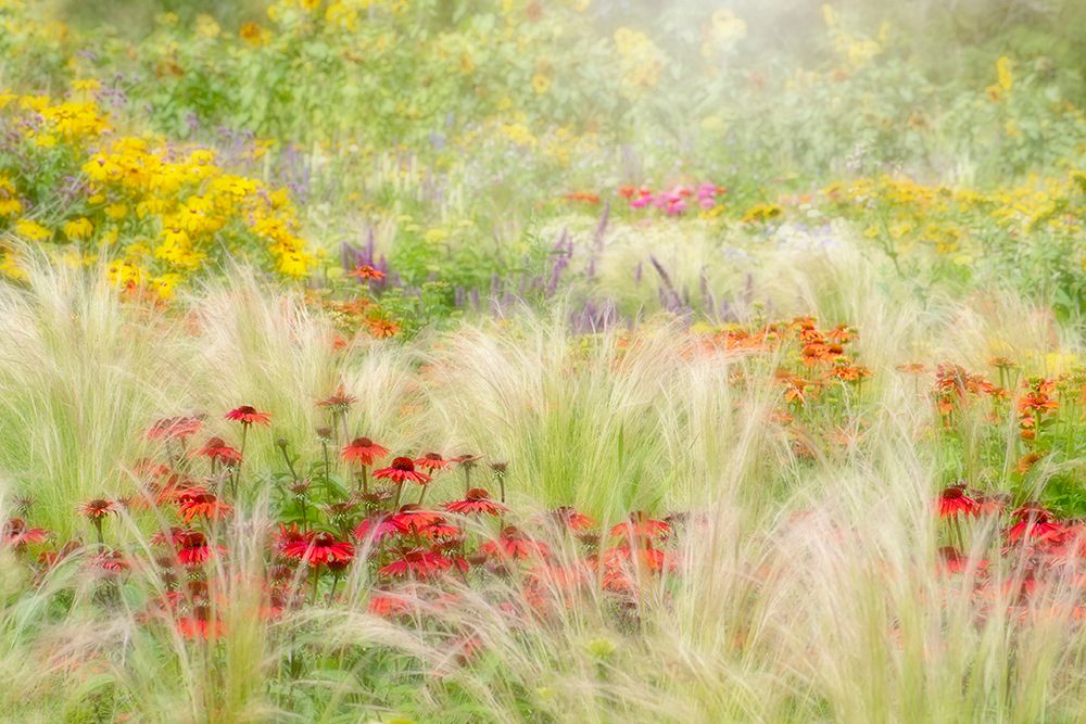 Summer Reverie art print by Jacky Parker for $57.95 CAD
