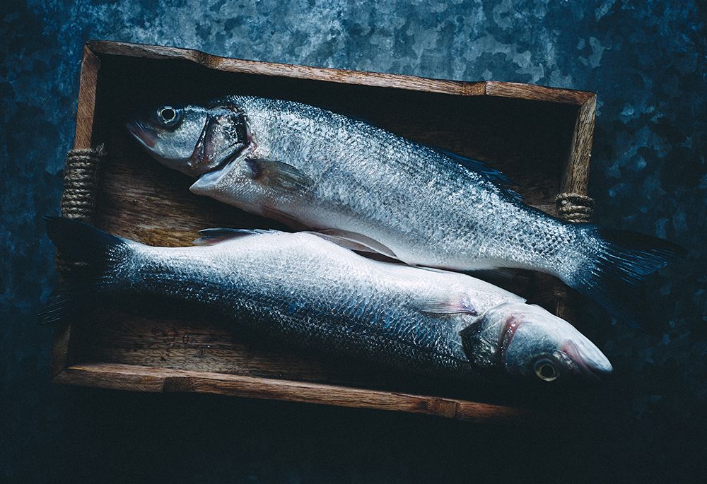 Two Fishes art print by Aleksandrova Karina for $57.95 CAD