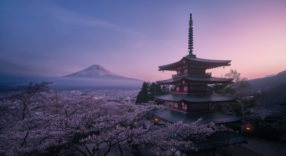 Mt Fuji Sakura art print by Javier De La for $57.95 CAD