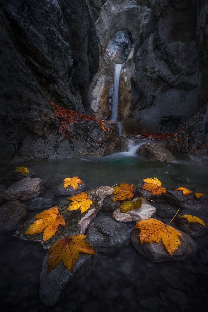 Autumn leaves in the gorge... art print by Nina Pauli for $57.95 CAD