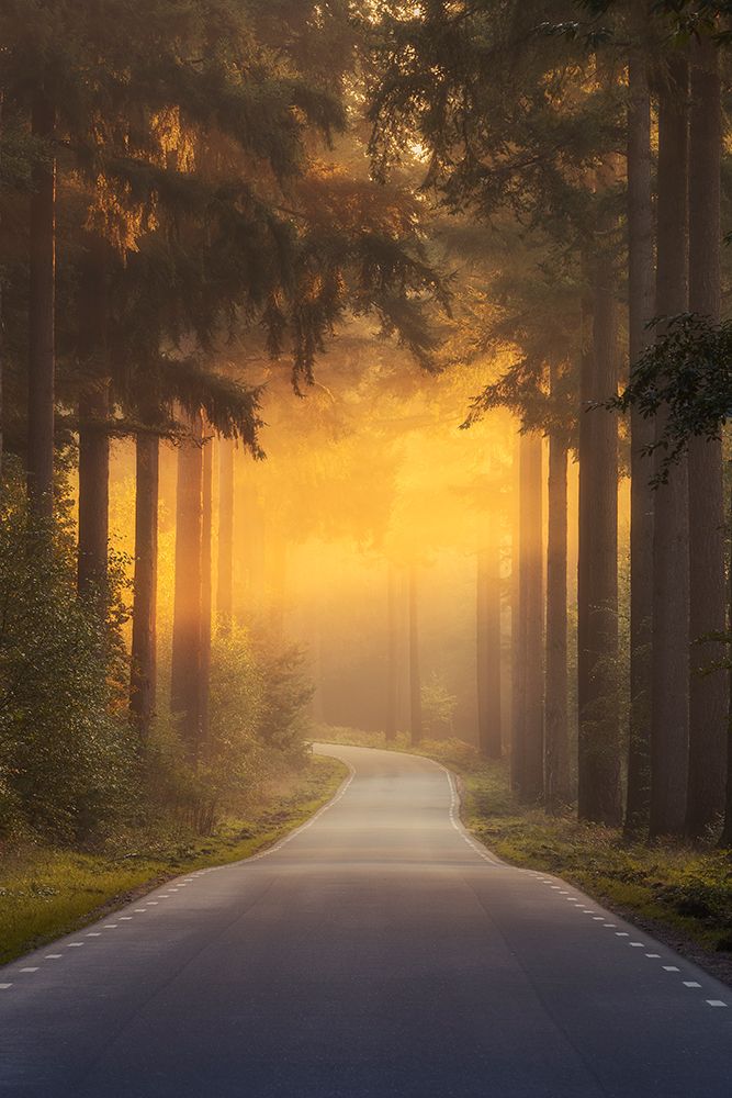 Pursuing The Light At The End Of The Road art print by NingYun Ye for $57.95 CAD