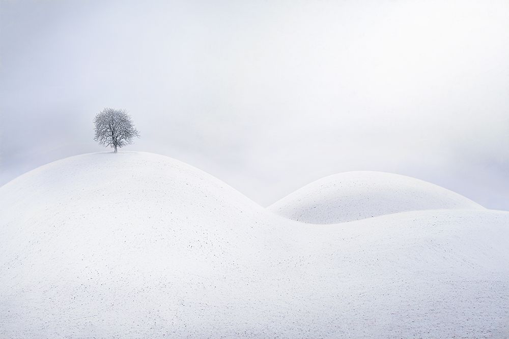 Untitled art print by Todor Tanev for $57.95 CAD