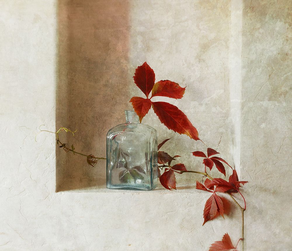 with a branch of wild grapes art print by Ala Pneuma for $57.95 CAD