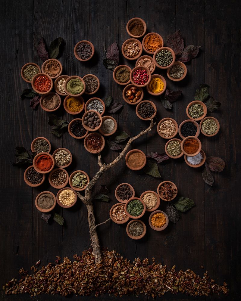 Tree Of Spice art print by Diana Popescu for $57.95 CAD