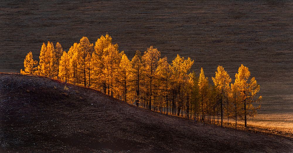 Sunset light art print by Haim Rosenfeld for $57.95 CAD