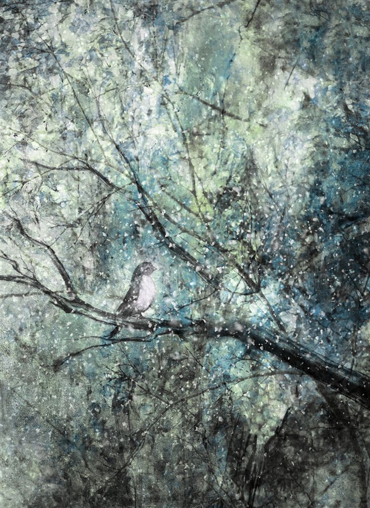 The Silence Of The Snow art print by Delphine Devos for $57.95 CAD