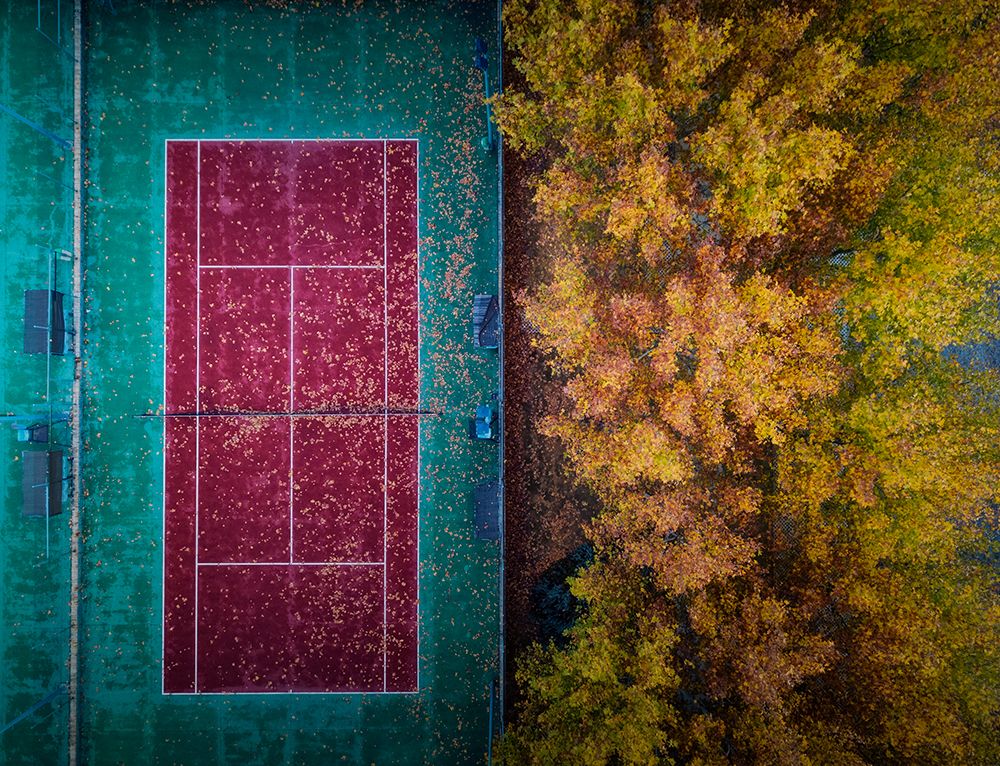 The Autumn Invasion art print by Jose Manuel Martin for $57.95 CAD