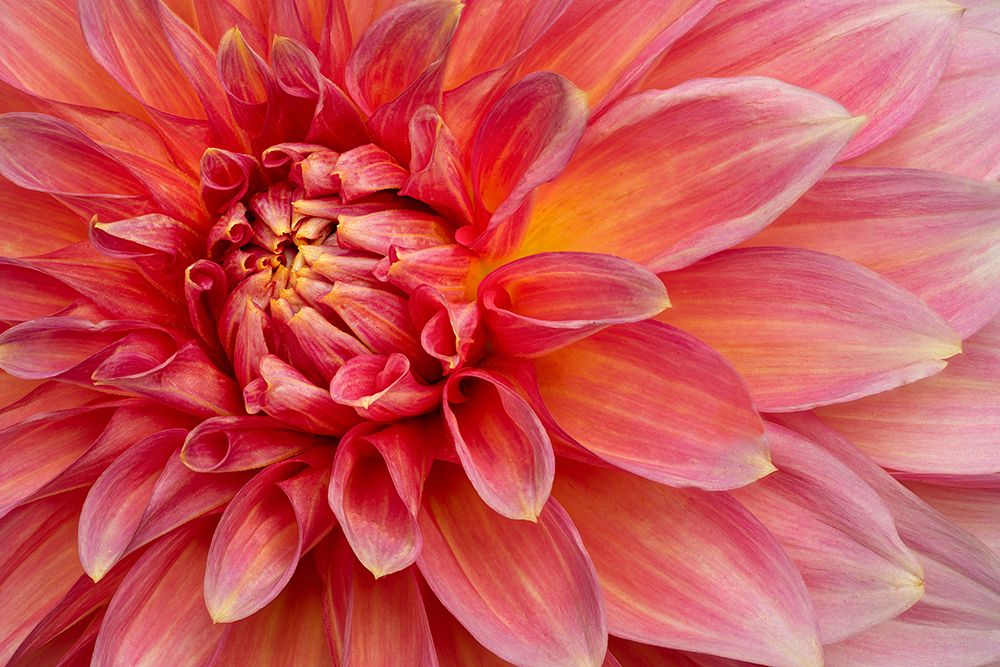 Inner Flame art print by Richard Urbanski for $57.95 CAD