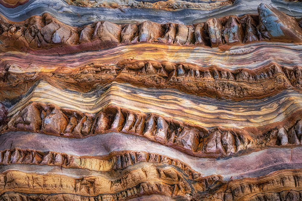 Abstractions In Nature art print by Saskia Dingemans for $57.95 CAD