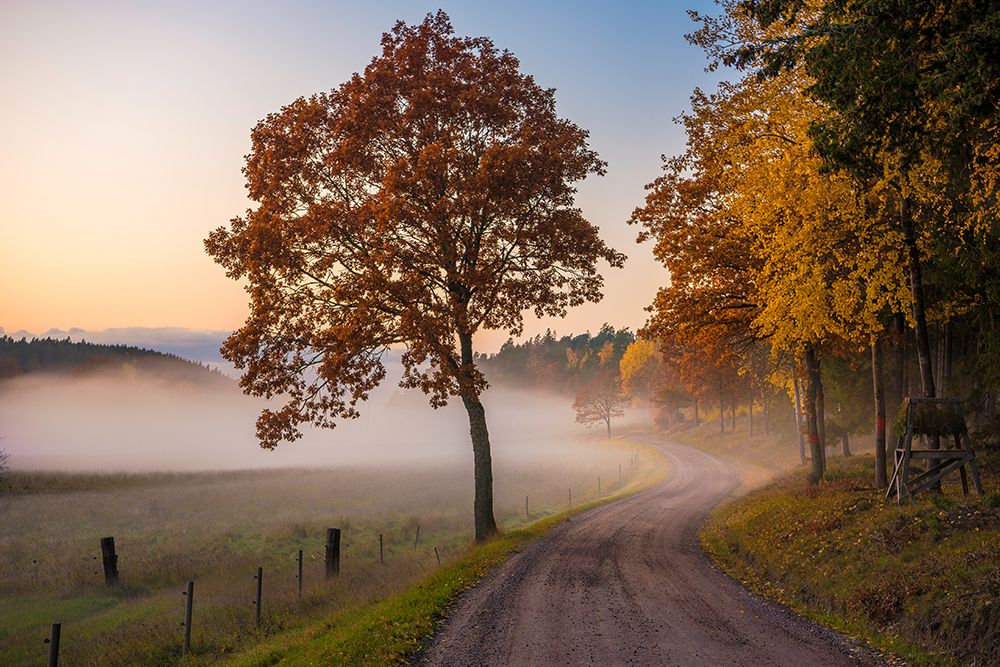Countryside Vibes art print by Christian Lindsten for $57.95 CAD