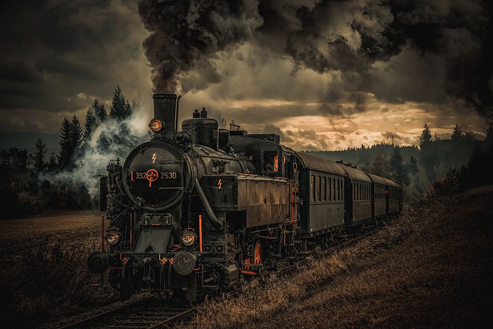 Gold Digger Train art print by Hubert Bichler for $57.95 CAD