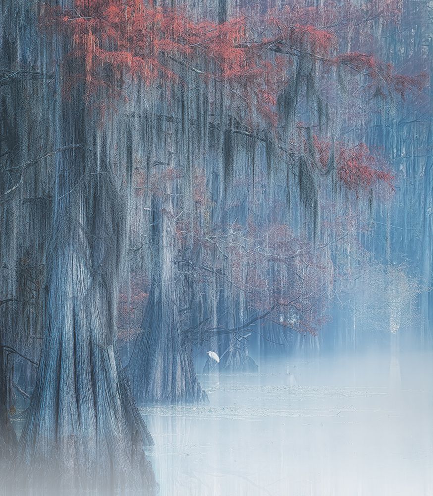 Early Bird art print by Alex Li for $57.95 CAD