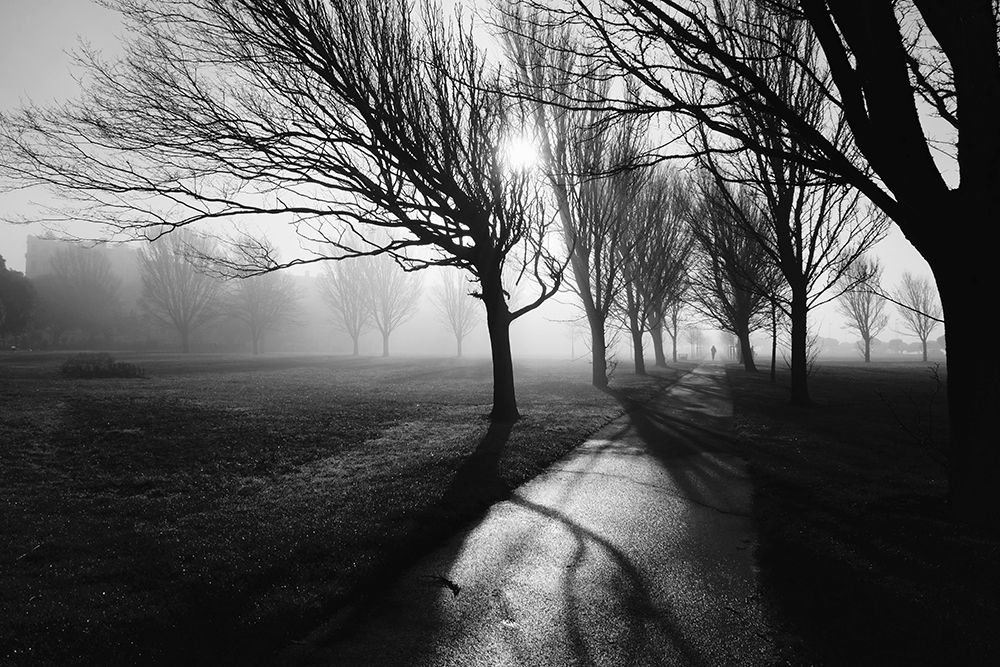 Foggy February art print by Elizabeth Allen for $57.95 CAD
