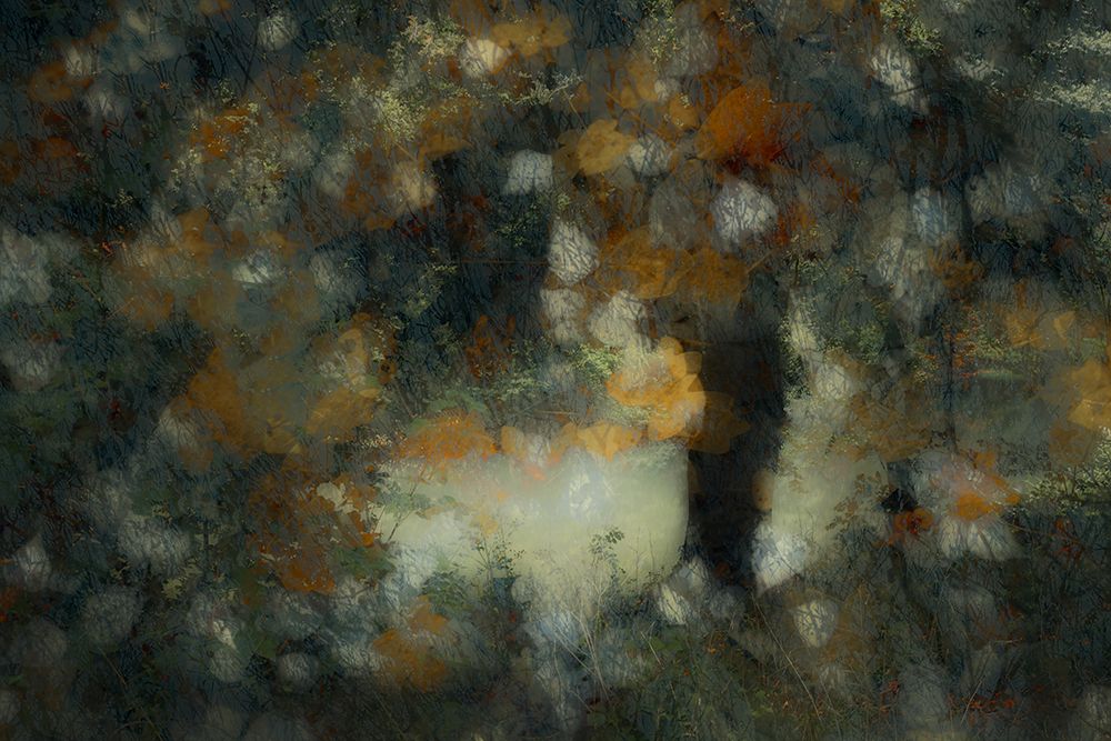 Look Through art print by Nel Talen for $57.95 CAD