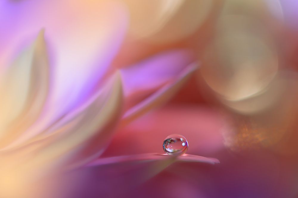 Untitled art print by Juliana Nan for $57.95 CAD